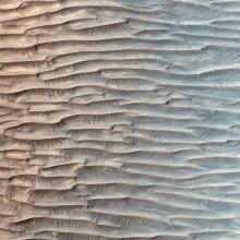 An image of all the linear ridges in a valley on Mars.