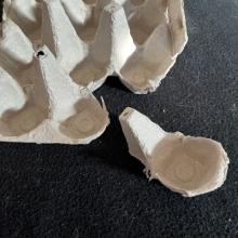 A piece of an egg carton cut away from the carton. 