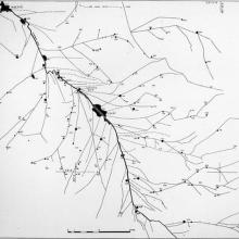 A map that shows the canal systems of ancient Diyala. The map as a central line cutting from the top to the bottom of the map, left to right, with smaller lines streaking out from both sides.