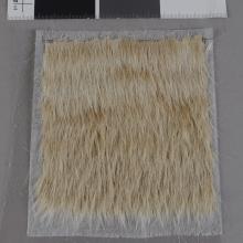 A sample of cow hair adhered to a spun-bond polyester substrate.