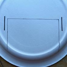 Photo of a white paper plate with black line markings drawn on it.