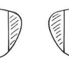 Drawing of a pair of bifocals with vertical lenses inlaid.