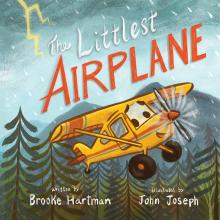 A book cover showing an illustrated yellow airplane. 