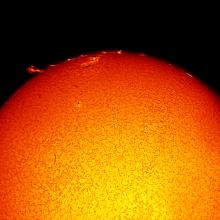 Partial disk view of the Sun's chromosphere highlighting many prominences of gas floating beyond the atmosphere at the edge of the disk. A large sunspot cluster of dark spots and lighter phages is also visible near many of the prominences at the top of the disk.