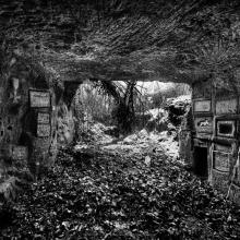 A view from inside a tunnel looking out. 