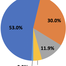 pie chart