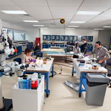 Two conservators work in the lab. 