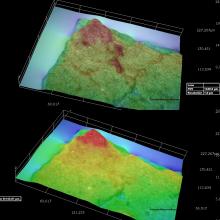 3D Microscopy of Top Paint Layer