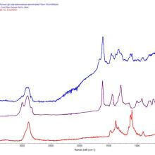 Raman Spectra