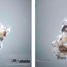 Two microscopic views of one section of adhesive sampled from a World War II era aircraft. Yellow and black inclusions are visible in the sample, and in the right view are labeled with measurements.