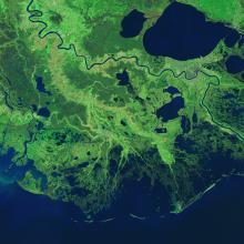 Satellite view of the Mississippi River's lower sections in Louisiana. The view is edited so that vegetation is various shades of green while bodies of water are visible as various shades of blue.