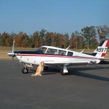 Piper Comanche and Canine