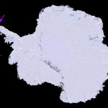 A view of the icey continent of Antarctica, with a purple arrow pointing out an ice shelf on the far right tip.