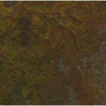 Satellite view of a section of Eastern Siberia, where leaves have begun to change from green to orange, yellow, and red colors as a part of the fall season.