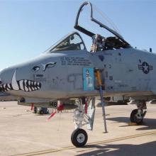 Become a Pilot Day 2012: USAF A-10 "Warthog"