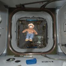 A Smokey Bear plush floats in zero gravity on board the International Space Station.