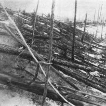 Tunguska