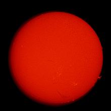 Disk view of the Sun's chromosphere with a few prominences of gases floating above the chromosphere visible on the right side of the disk.