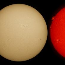 Three disc views of the Sun. The left image reveals the Sun's atmosphere, highlighting bright-coloured clouds called phages. The middle disk reveals the Sun's surface, highlighting sunspots found mostly on the left side of the disk. The right side highlights prominences of gas floating from the surface on the edges of the disk, as well as multiple phages.