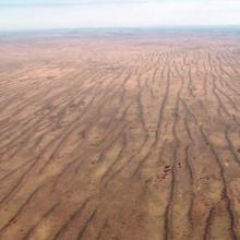 Simpson Desert