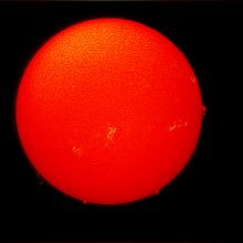 Disk view of the Sun's atmosphere with multiple sunspot clusters and phages (dark spots within lighter colors) and prominences, or gases floating from the surface of the Sun at the edges of the disk, visible on the bottom half of the disk.