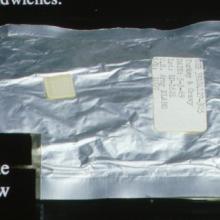 Apollo Space Food Turkey and Gravy