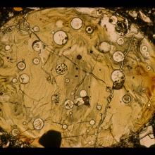 Lunar Breccia Nickel-Iron Shock Melting