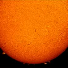 Partial disk view of the Sun's atmosphere. Many prominences (gases floating away from the sphere) and filaments (dark lines) can be seen across the lower, visible half of the disk.