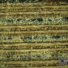 Horten Conservation - Plywood Photomicrograph