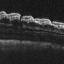 North Polar Region of Mars