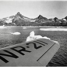 Icebergs in Greenland