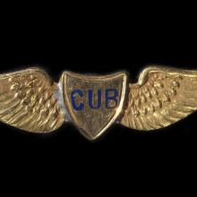 Cub Lapel Pin