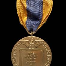 Back of aviation medal. Medallion features an etching of an eagle holding a plaque stating the winner of the medal and the rounded edges state the presenter of the medal. Suspended using yellow and black fabric attached to metal pin.