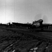 99th Fighter Squadron P-40