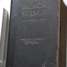 A black, leather-like book cover featuring a golden engraving of a monoplane as well as the title and author engraved in gold.