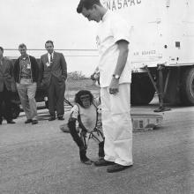 Ham, First Chimpanzee in Space