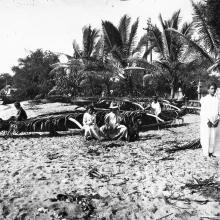 Waikiki Beach, 1902