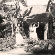 Hula Dancers