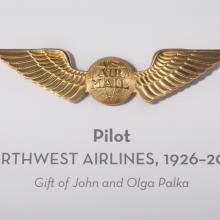 Pilot Airway Badge