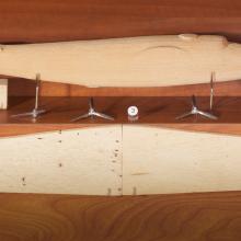 Parts and pieces of an uncomplete monoplane model kit made from solid wood.