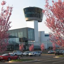 Cherry Trees in Bloom at Udvar-Hazy Center