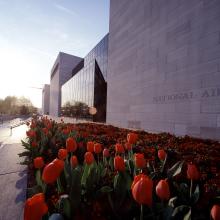 Angled view of the south side of the National Air and Space Museum with stone walls, glass windows, and red tulips in the planters in the foreground.