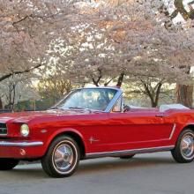 An antique red Ford Mustang is parked below cherry blossom trees on the National Mall.