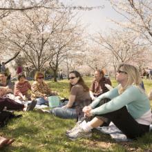 Employees Enjoy the Cherry Blossoms