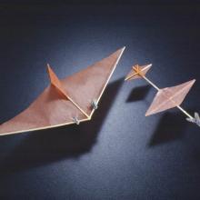 Insect Powered Model Airplanes