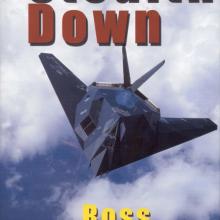 Book Cover: Stealth Down