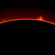 A view of a part of the Sun with focus placed on prominences of plasma rising at the top of the photo.