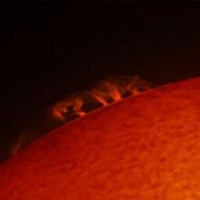 A part of the sun with prominences of plasma floating from the top of the sphere