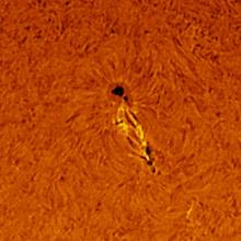 A view of two sunspots on the Sun.