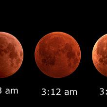 A collage of the various phases of the December 2010 lunar eclipse.